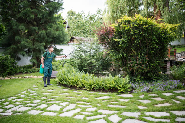Best Local Pest Control Services  in Appleton, MN