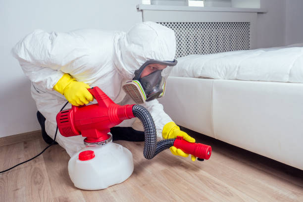 Best Bed Bug Extermination  in Appleton, MN