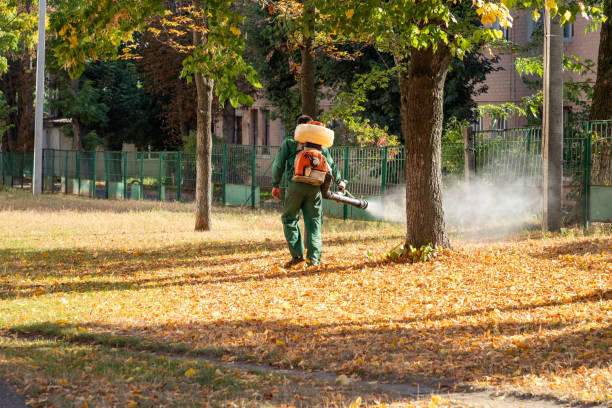 Best Insect Control  in Appleton, MN